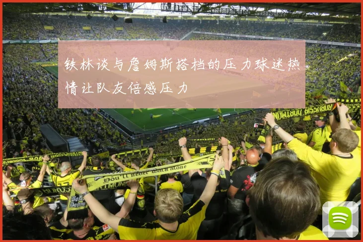 铁林谈与詹姆斯搭档的压力球迷热情让队友倍感压力