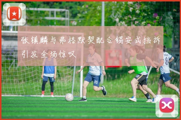 张镇麟与弗格默契配合锡安式挡拆引发全场惊叹