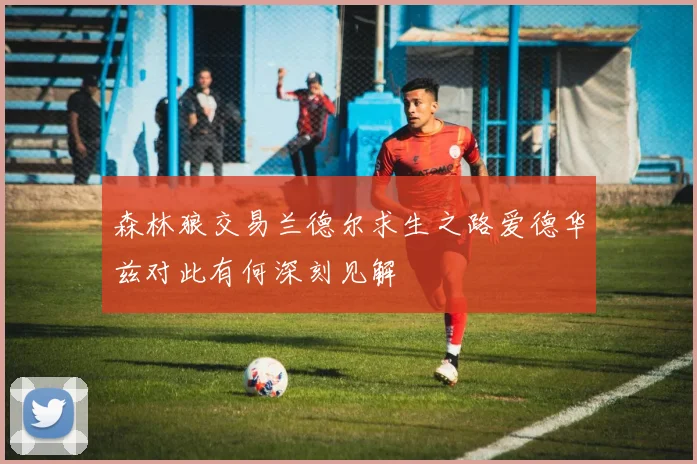 森林狼交易兰德尔求生之路爱德华兹对此有何深刻见解
