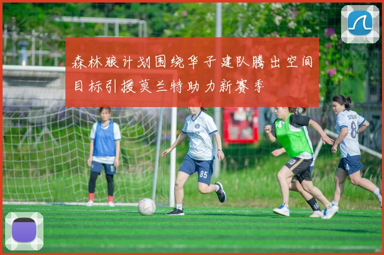 森林狼计划围绕华子建队腾出空间目标引援莫兰特助力新赛季